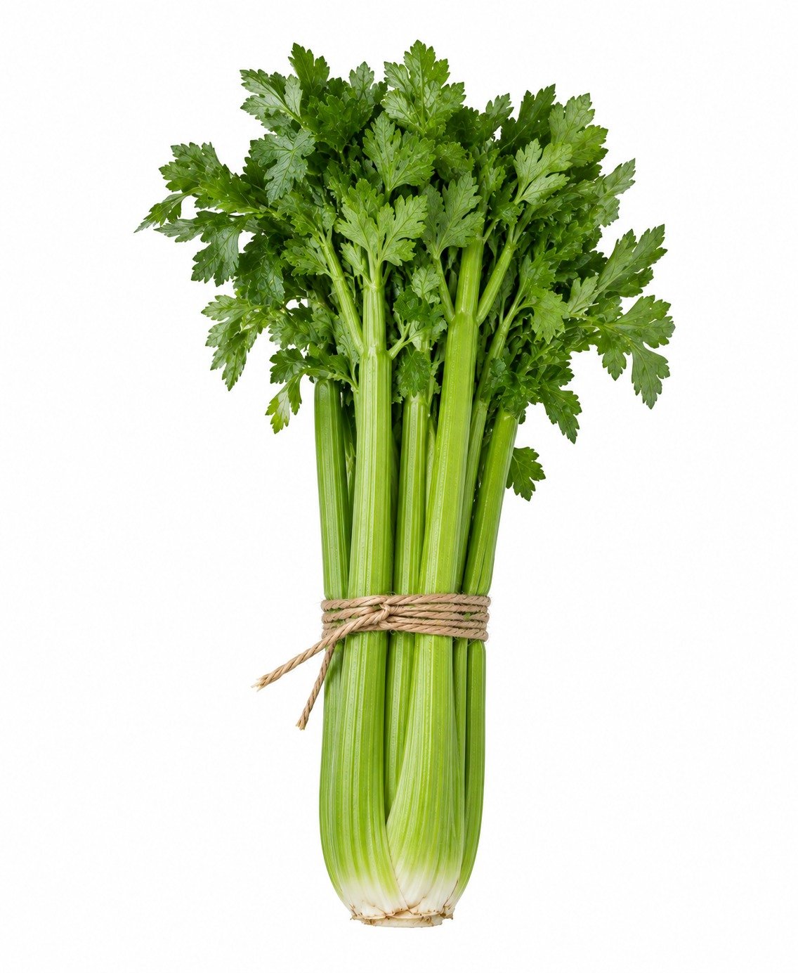 Céleri