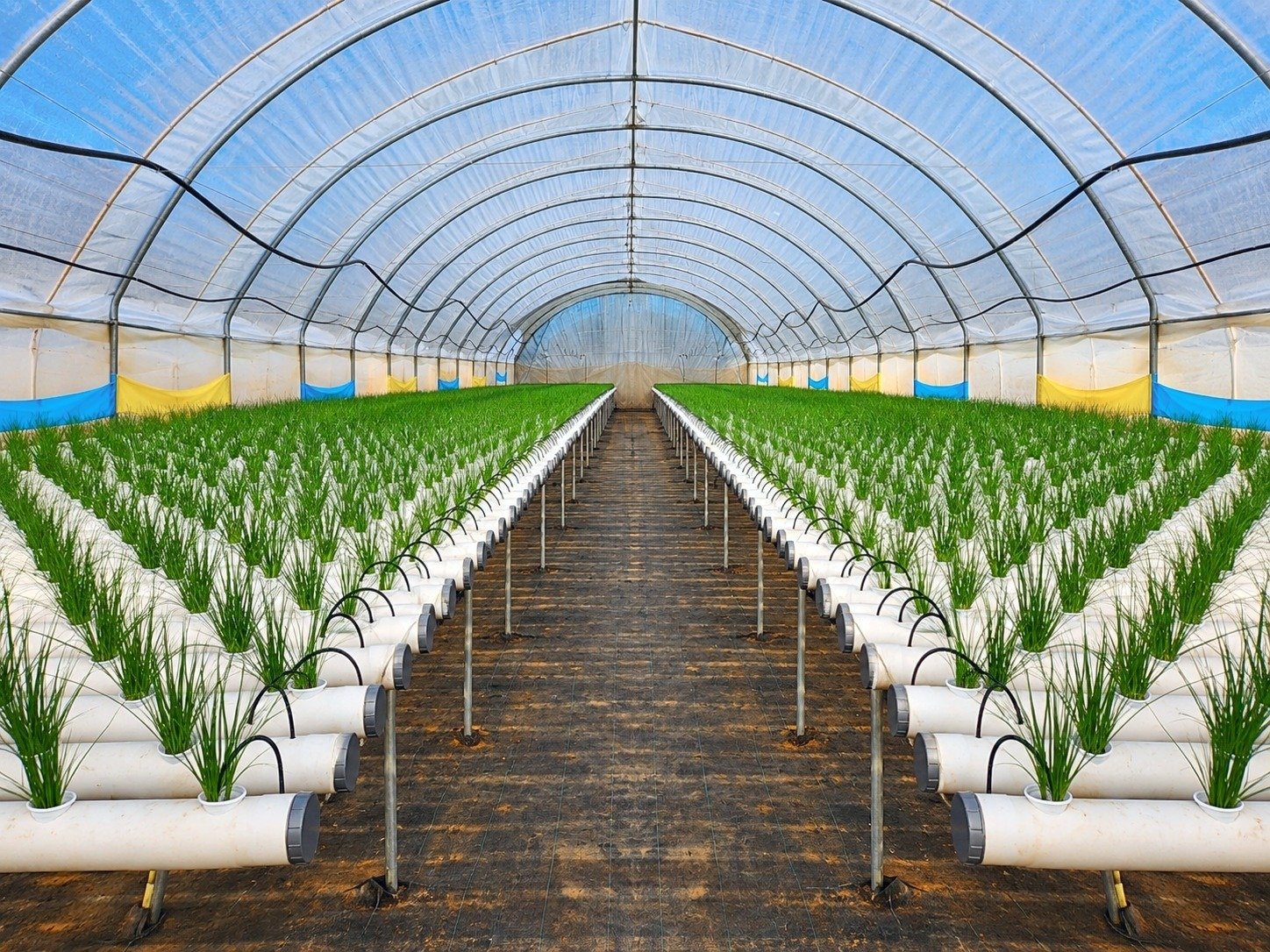 Notre ferme
